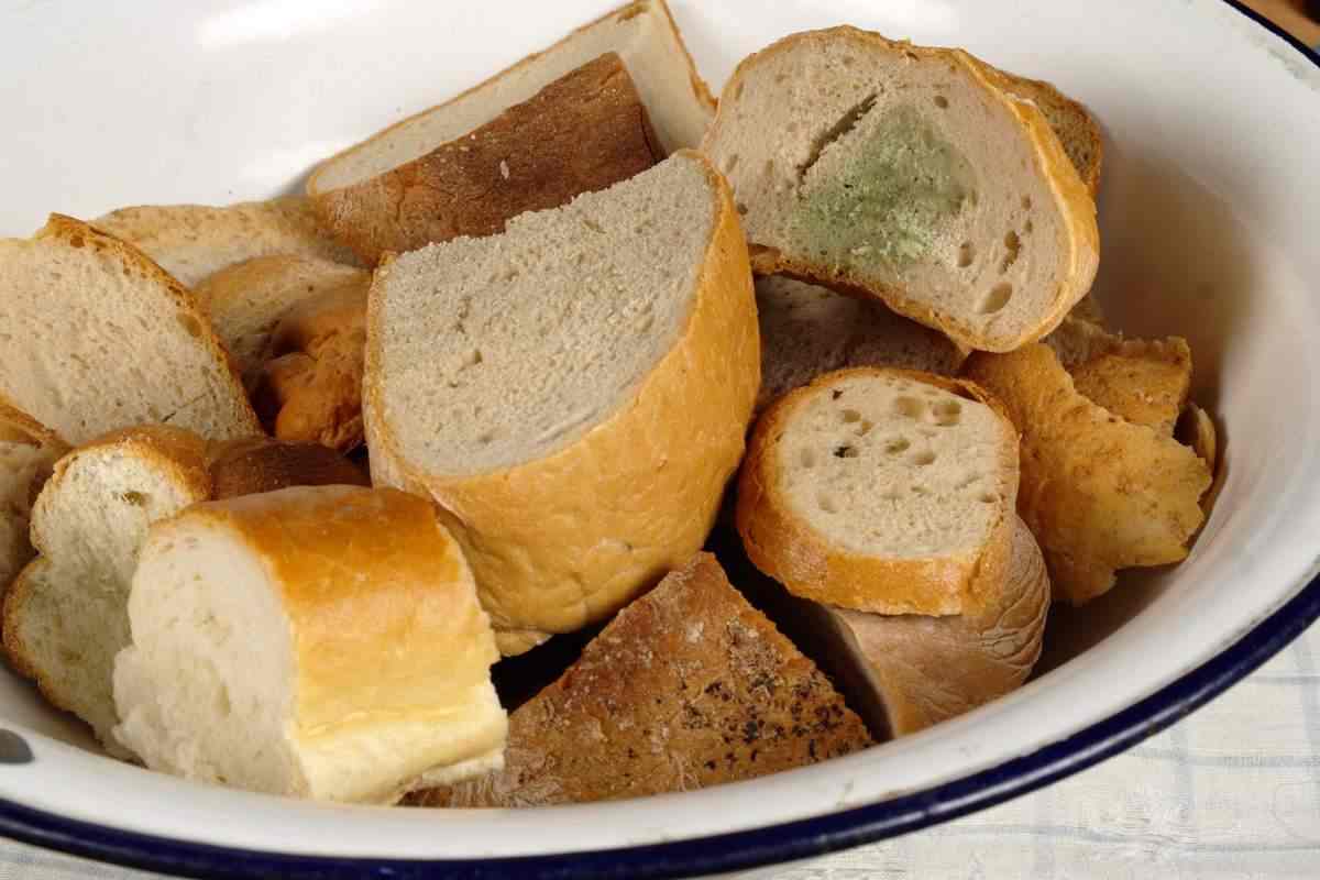 come far tornare pane morbido